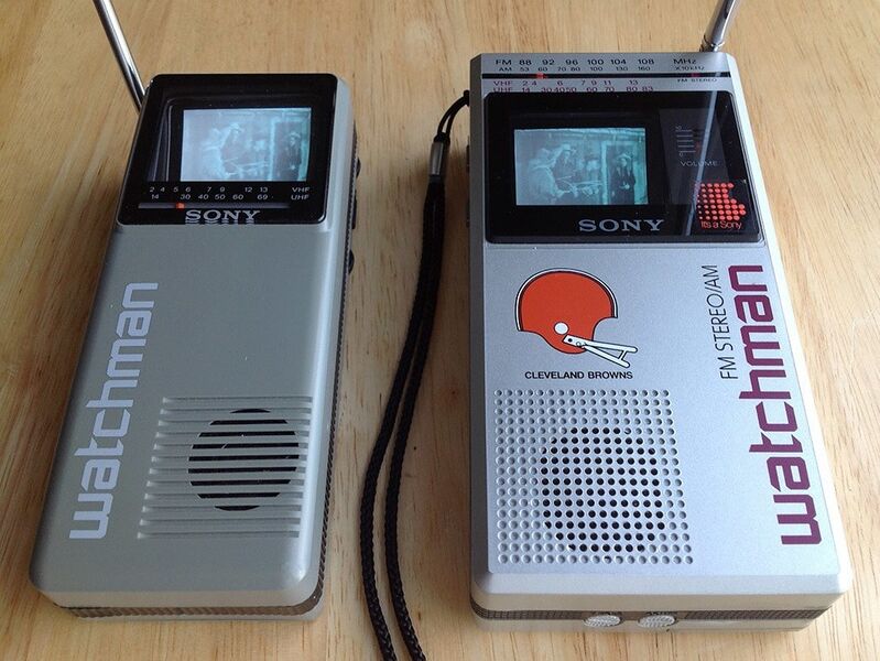 Файл:Watchman 2.jpg